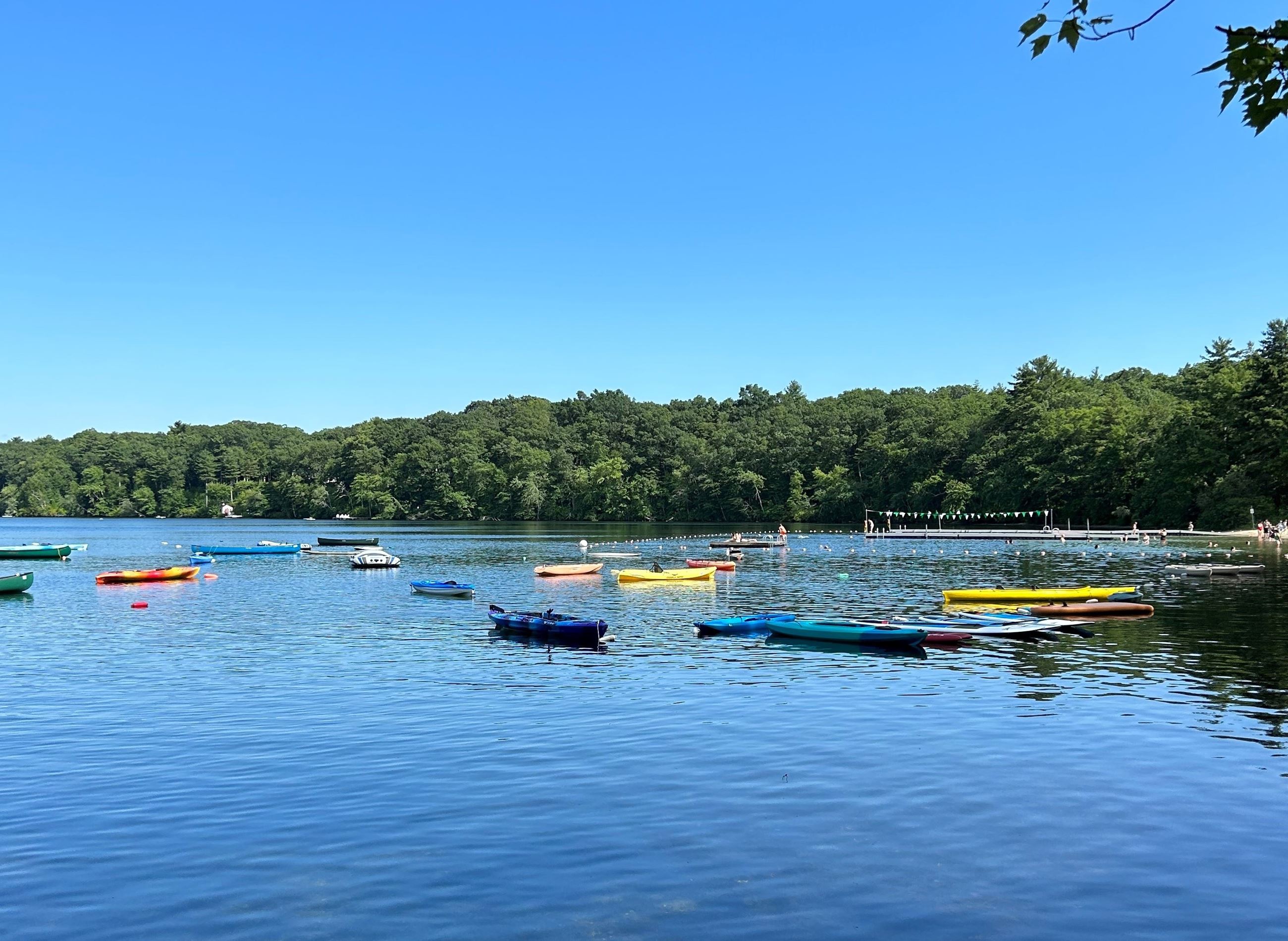 Summer fun at Farm Pond (jpg)
