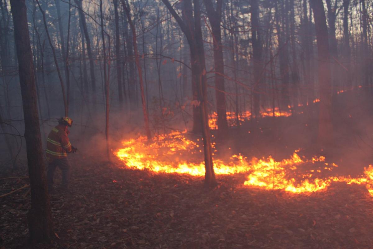 2017: Major Brush Fire On Nason Hill Road