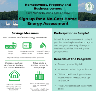 Energy Assessment Flier